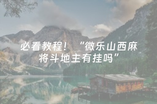 实测辅助“麻将机程序控牌器视频教程（助赢神器通用版）
