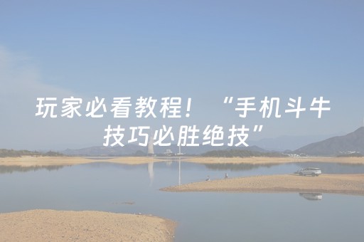玩家必看教程！“手机斗牛技巧必胜绝技”（详细辅助教程）-哔哩哔哩
