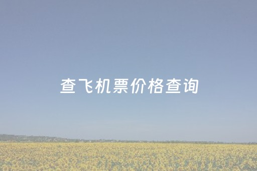 查飞机票价格查询（在线查询飞机票）