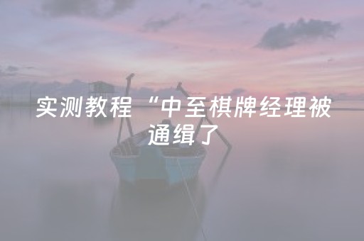 玩家实测“广东雀神辅助器插件”（详细透视教程）-哔哩哔哩