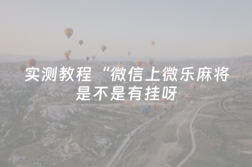 实测教程“微信上微乐麻将是不是有挂呀（专用辅牌神器免安装）