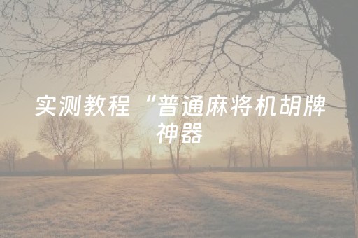 实测教程“普通麻将机胡牌神器（助赢神器通用版）