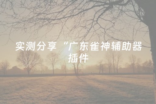 实测分享“广东雀神辅助器插件（助赢神器通用版）
