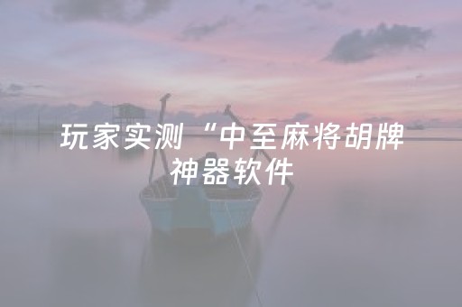 玩家实测“中至麻将胡牌神器软件（助赢神器通用版）
