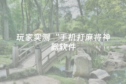 玩家实测“手机打麻将神器软件（专用辅牌神器免安装）