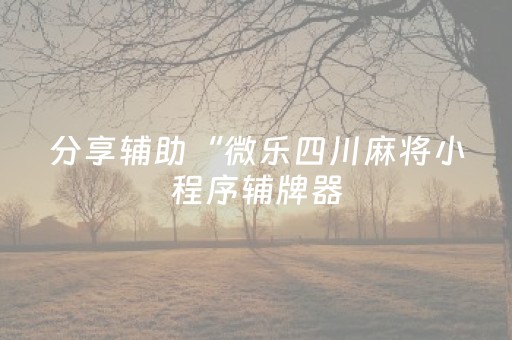 分享辅助“微乐四川麻将小程序辅牌器（助赢神器通用版）