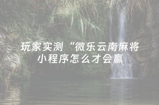 玩家实测“微乐云南麻将小程序怎么才会赢（助赢神器通用版）