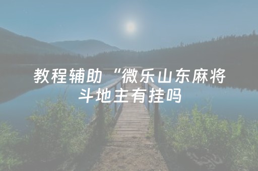 教程辅助“微乐山东麻将斗地主有挂吗（专用辅牌神器免安装）