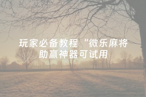 玩家必备教程“微乐麻将助赢神器可试用（专用辅牌神器免安装）
