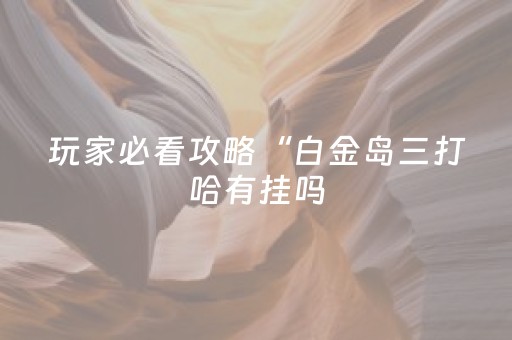 玩家必看攻略“白金岛三打哈有挂吗（助赢神器通用版）