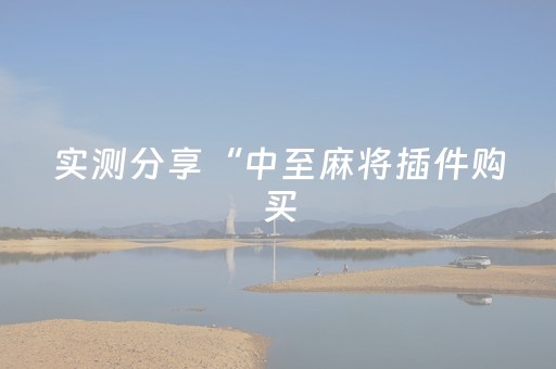 实测分享“中至麻将插件购买（助赢神器通用版）