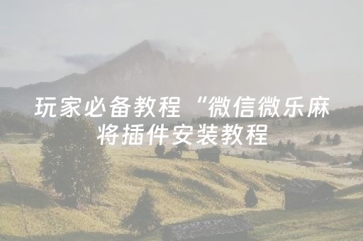 玩家必备教程“微信微乐麻将插件安装教程（专用辅牌神器免安装）