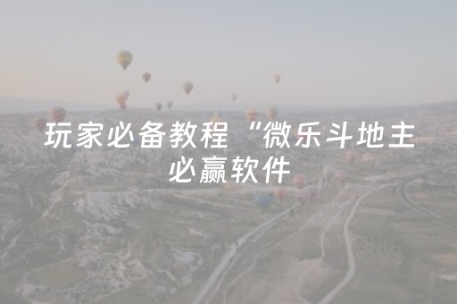 玩家必备教程“微乐斗地主必赢软件（专用辅牌神器免安装）