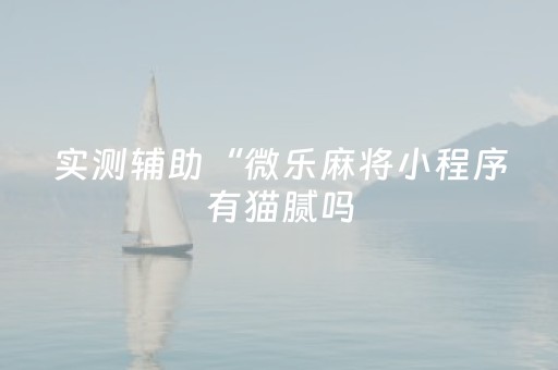 实测辅助“微乐麻将小程序有猫腻吗（专用辅牌神器免安装）