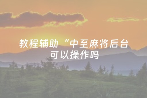 教程辅助“中至麻将后台可以操作吗（专用辅牌神器免安装）