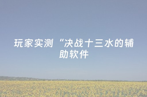 玩家实测“决战十三水的辅助软件（专用辅牌神器免安装）