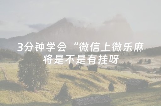 3分钟学会“微信上微乐麻将是不是有挂呀（专用辅牌神器免安装）