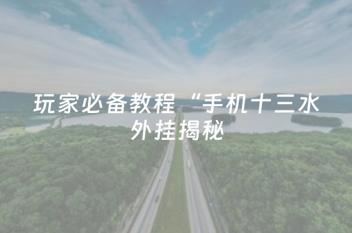 玩家必备教程“手机十三水外挂揭秘（专用辅牌神器免安装）