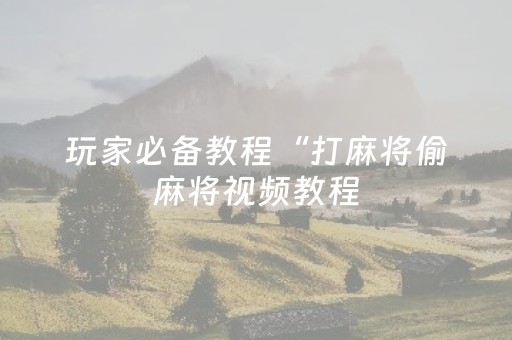 玩家必备教程“打麻将偷麻将视频教程（专用辅牌神器免安装）