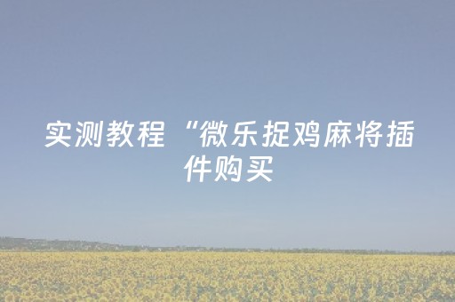 实测教程“微乐捉鸡麻将插件购买（专用辅牌神器免安装）