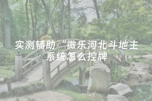 实测辅助“微乐河北斗地主系统怎么控牌（专用辅牌神器免安装）