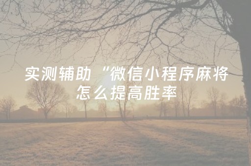 我来教大家“中至赣州辅助器下载（专用辅牌神器免安装）
