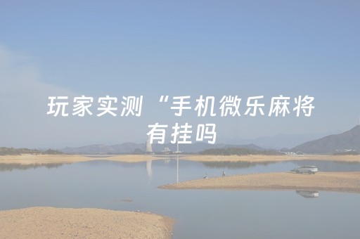 玩家实测“手机微乐麻将有挂吗（助赢神器通用版）