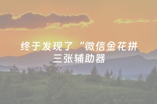 教程辅助“打哈儿麻将免费辅牌器”（详细透视教程）-哔哩哔哩