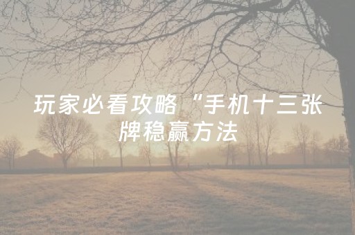 实测教程“微乐四川麻将插件购买（专用辅牌神器免安装）