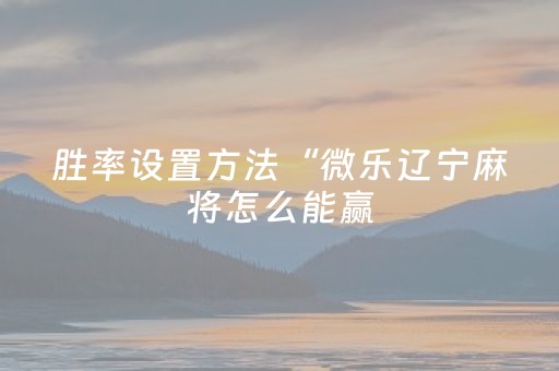 玩家必看攻略“微乐河北麻将胡牌技巧（专用辅牌神器免安装）