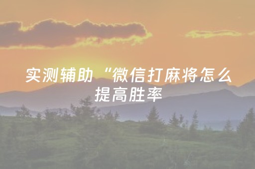 实测辅助“微信打麻将怎么提高胜率（助赢神器通用版）