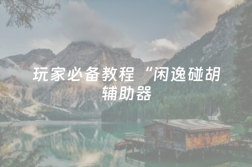 玩家必备教程“闲逸碰胡辅助器（专用辅牌神器免安装）