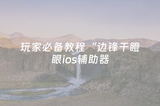 玩家必备教程“边锋干瞪眼ios辅助器（助赢神器通用版）
