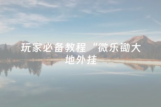 玩家必备教程“微乐锄大地外挂（助赢神器通用版）