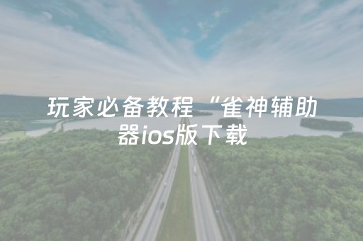 玩家必备教程“雀神辅助器ios版下载（助赢神器通用版）
