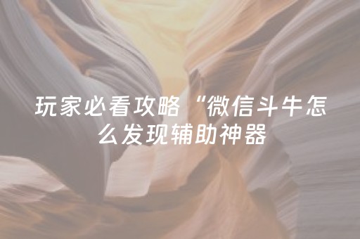终于发现了“手机打牌赢钱神器（助赢神器通用版）
