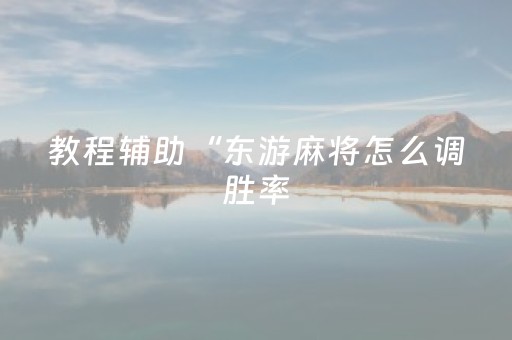 教程辅助“东游麻将怎么调胜率（专用辅牌神器免安装）