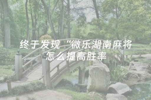 终于发现“微乐湖南麻将怎么提高胜率（专用辅牌神器免安装）