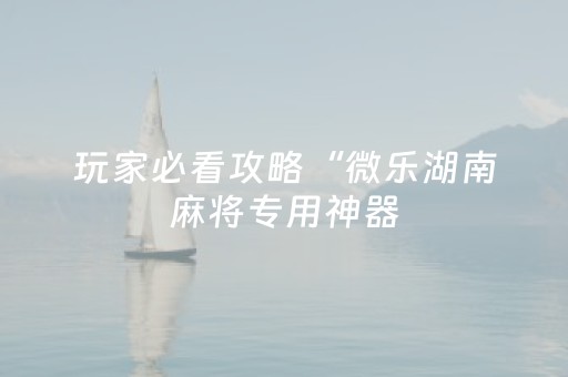 玩家必看攻略“微乐湖南麻将专用神器（专用辅牌神器免安装）