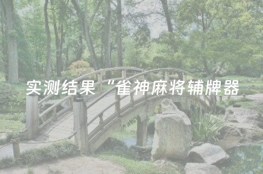 实测结果“雀神麻将辅牌器（专用辅牌神器免安装）
