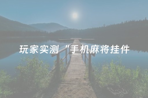 玩家实测“手机麻将挂件（专用辅牌神器免安装）