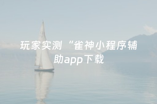 玩家实测“雀神小程序辅助app下载（专用辅牌神器免安装）