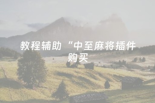 教程辅助“中至麻将插件购买（助赢神器通用版）