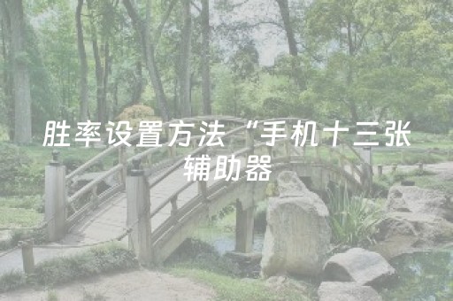 胜率设置方法“手机十三张辅助器（助赢神器通用版）