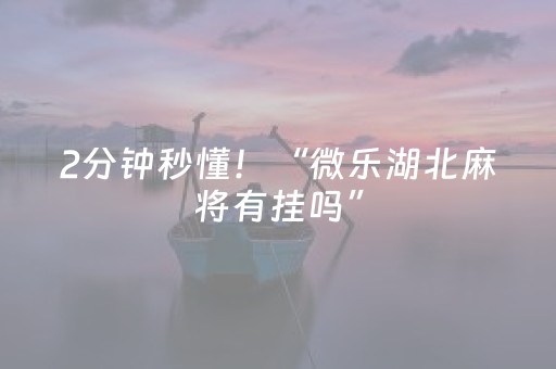2分钟秒懂！“微乐湖北麻将有挂吗”（详细辅助教程）-哔哩哔哩