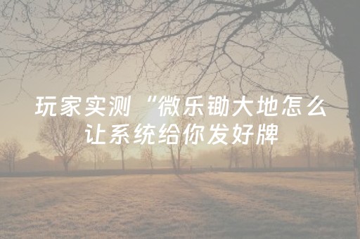 今日盘点“微乐海南麻将神器软件下载”（详细透视教程）-哔哩哔哩