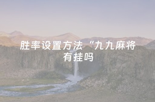 2分钟秒懂！“微乐海南麻将专用神器”（详细开挂教程）-哔哩哔哩