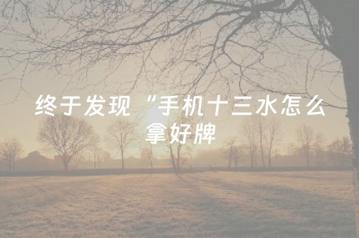 终于发现“手机十三水怎么拿好牌（助赢神器通用版）