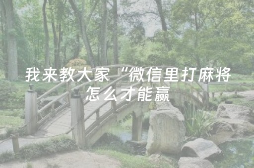 教程辅助“麻将机程序控牌器多少钱安装（专用辅牌神器免安装）