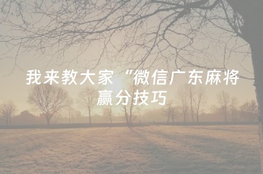 胜率设置方法“微乐龙江麻将怎么能赢（专用辅牌神器免安装）
